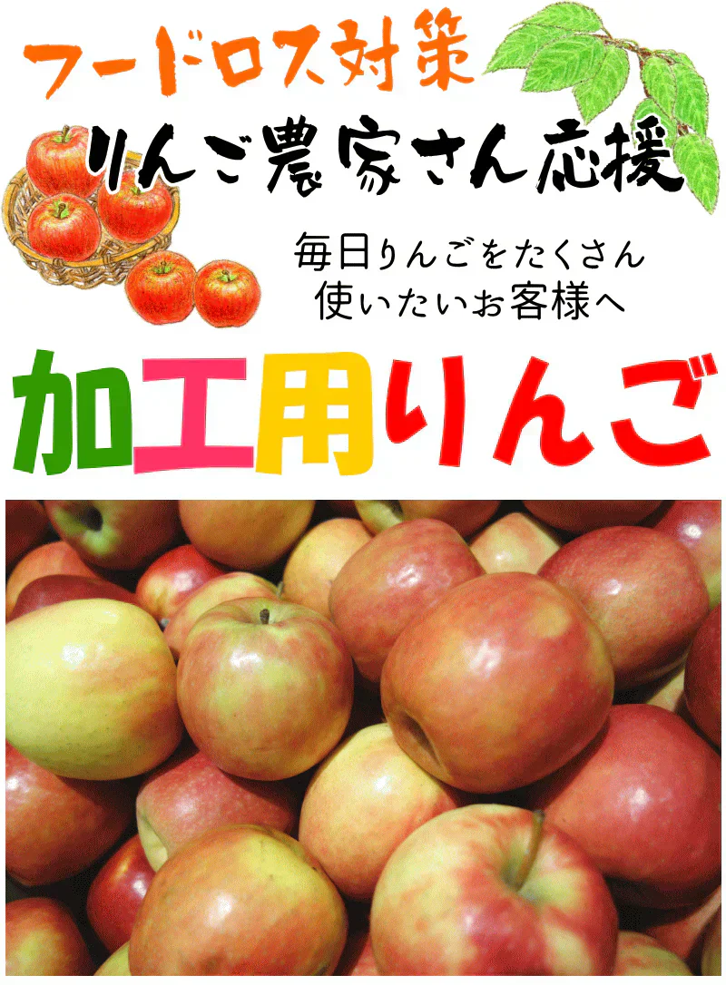 青森県産 りんご 金星 5kg箱【加工用】　★金星 加 5kg 箱