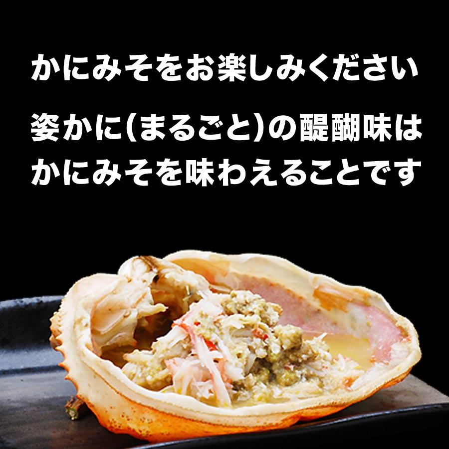紅ズワイ姿　3.2kg（800g×4尾） 送料無料　蟹味噌　山陰香住港 兵庫県 国産
