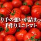 予約【１月前後から発送開始】お試し＼特別栽培農産物／ソムリエミニトマト　プラチナ　３９０ｇ