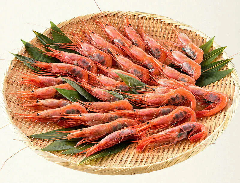 越前産 甘えび 子持ち特大サイズ 500g（約30尾入り） 甘エビ 刺身用 ［送料無料］ 産地直送 海鮮 エビ セット 海老 大 甘海老 美味しい 大きい えび 冷凍えび 冷凍エビ 食品ギフト ごちそう 贈り物 贈答 母の日 プレゼント ギフト