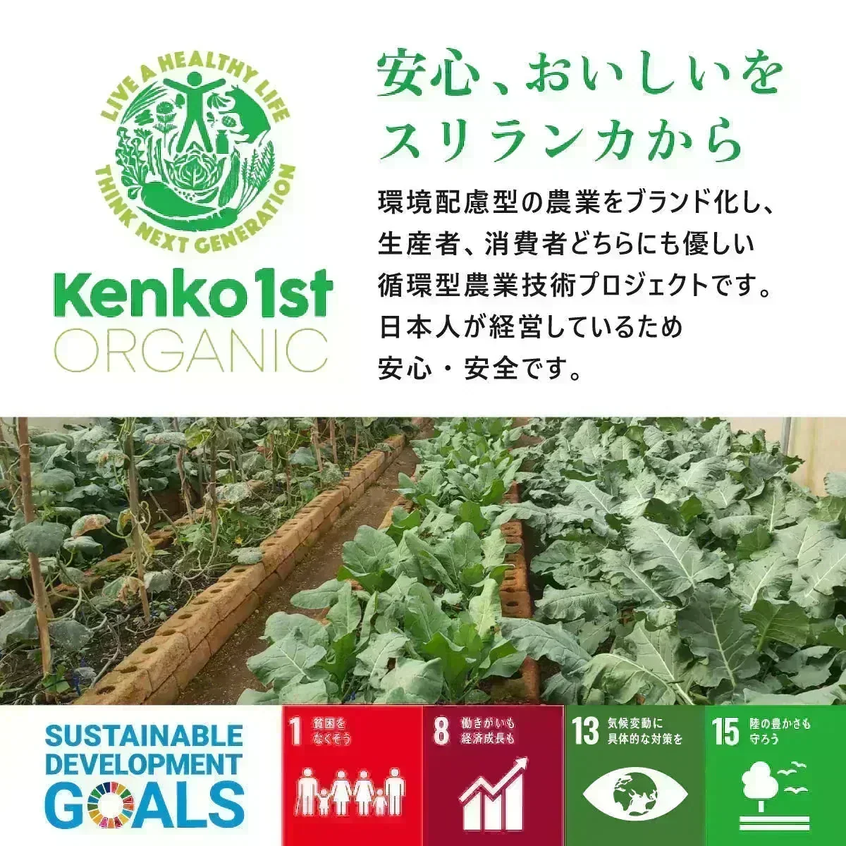 【ご注文殺到につき入荷待ち】 モリンガパウダー 有機 オーガニック 100g 100% モリンガ茶 スーパーフード 粉末 モリンガ パウダー 有機JAS認定 スリランカ セイロン 無添加 健康 栄養 ヴィーガン ビーガン 美容 サプリ 無農薬