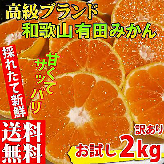 みかん 2キロ 和歌山県 有田産 有田みかん