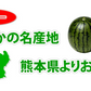 スイカ すいか 送料無料 熊本すいか 秀品 1玉 約3.5kg～5kg 熊本県産 西瓜 フルーツ