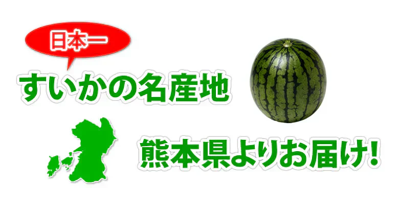 スイカ すいか 送料無料 熊本すいか 秀品 1玉 約3.5kg～5kg 熊本県産 西瓜 フルーツ
