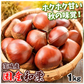 くり 国産和栗 茨城産 生栗 1kg 2Lサイズ