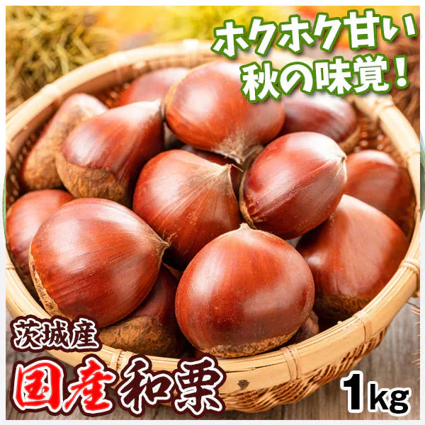 くり 国産和栗 茨城産 生栗 1kg 2Lサイズ