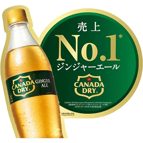 【1ケース】コカ・コーラ  ジンジャーエール カナダドライ ジンジャエール 500ml PET 24本 ジンジャー ケース 500 ペットボトル pet まとめ買い 炭酸飲料 コカコーラ 炭酸ジュース
