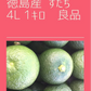 すだち　徳島県産　良品　４L　専用箱入