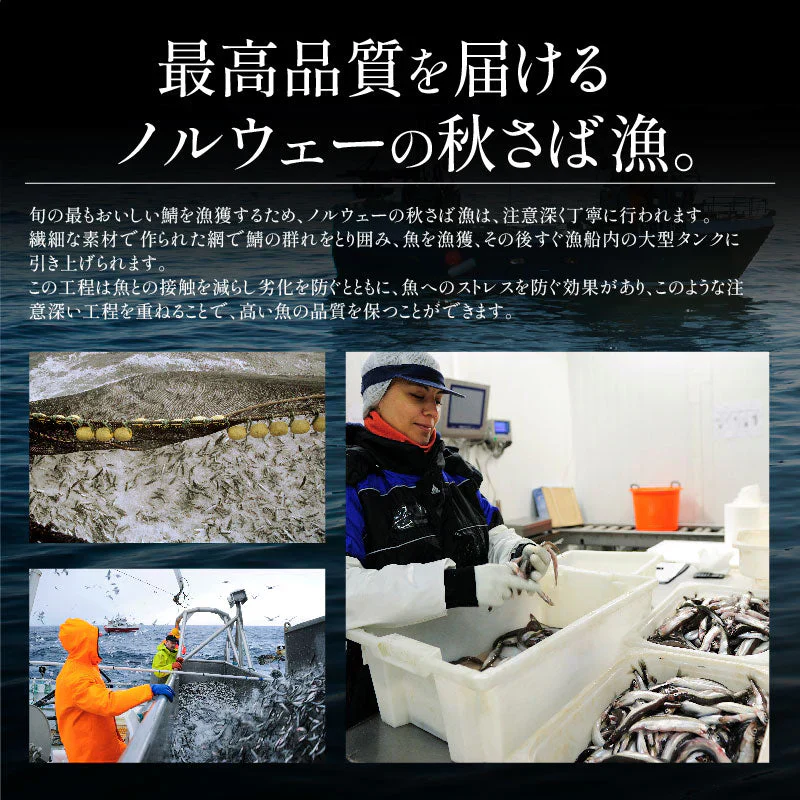 さば 鯖 骨取り 切り身 30g×20切 無塩 ノルウェー産 サバ 天然 骨なし チャック袋 バラ凍結 冷凍  塩なし 魚切り身 骨抜き ギフト グルメ プレゼント
