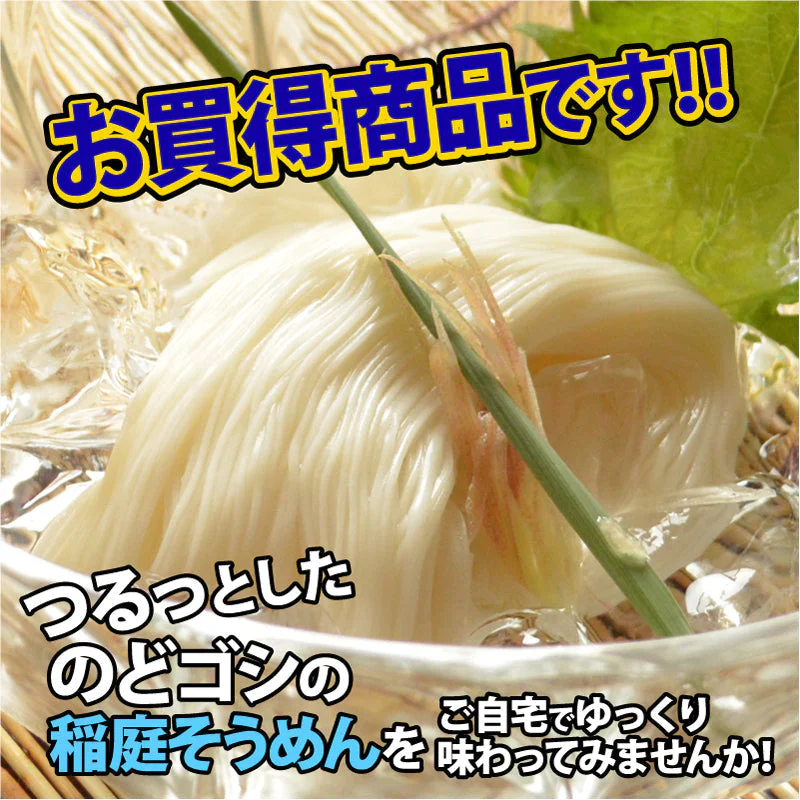 稲庭そうめん 自宅用(10人前) 2種のつゆ付き