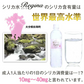 シリカ水 525ml 40本 シリカウォーター 天然水 天然シリカ ミネラルウォーター 美ウォーター ケイ素水 水 軟水 レジーナ 国産 大分県産【家計お助けSALE】