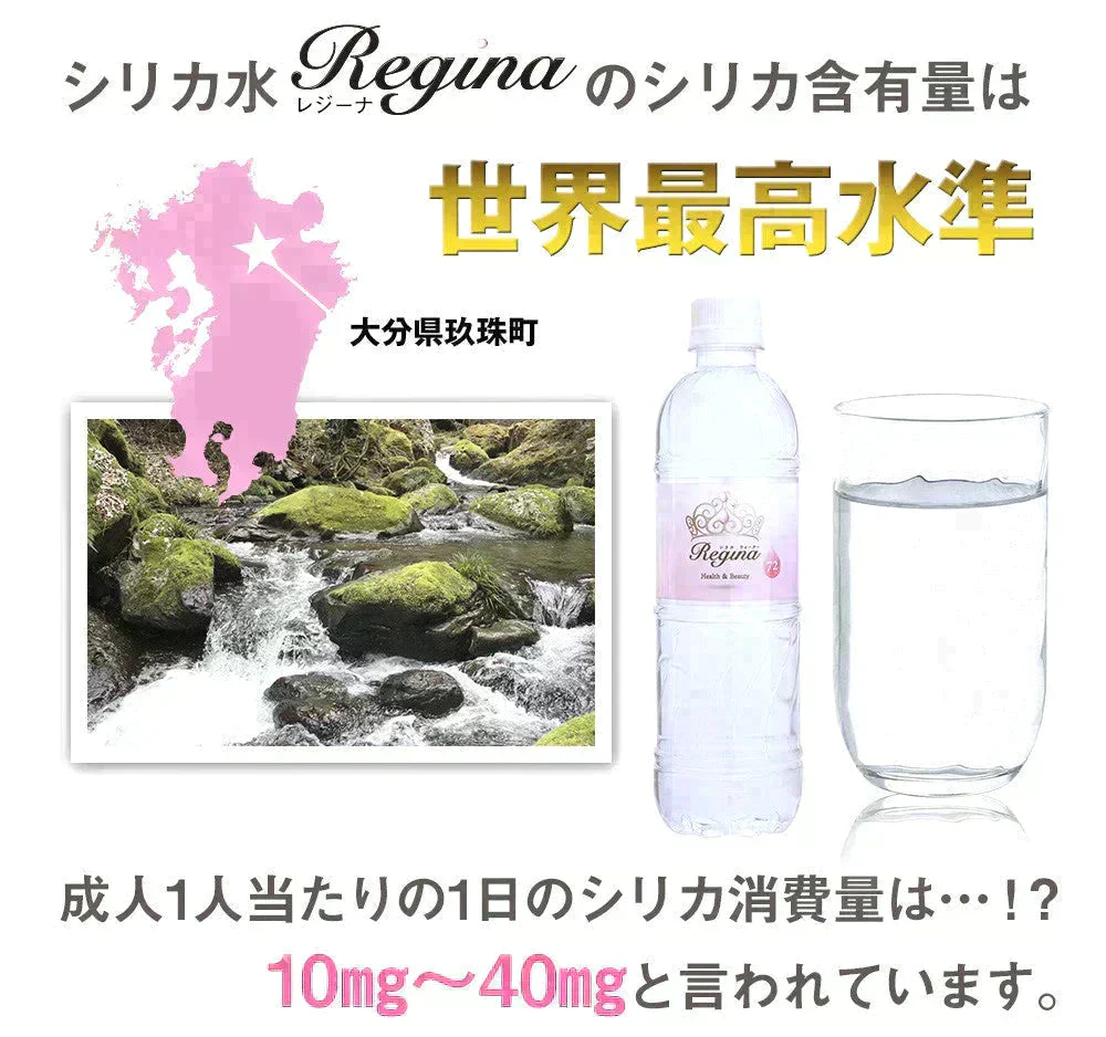 シリカ水 525ml 40本 シリカウォーター 天然水 天然シリカ ミネラルウォーター 美ウォーター ケイ素水 水 軟水 レジーナ 国産 大分県産【家計お助けSALE】