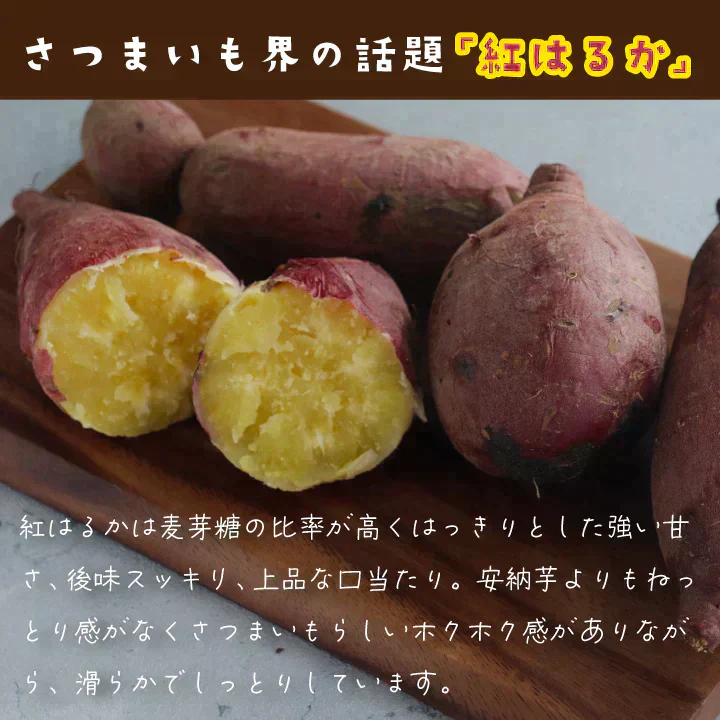 訳あり さつまいも 4kg 農薬不使用 「 佐賀県産 紅はるか 4kg 未選別 詰合せ 家庭用 」送料無料 福祉事業所直営農園栽培