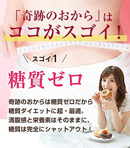 おからパウダー 糖質0 奇跡のおから 1袋 500g