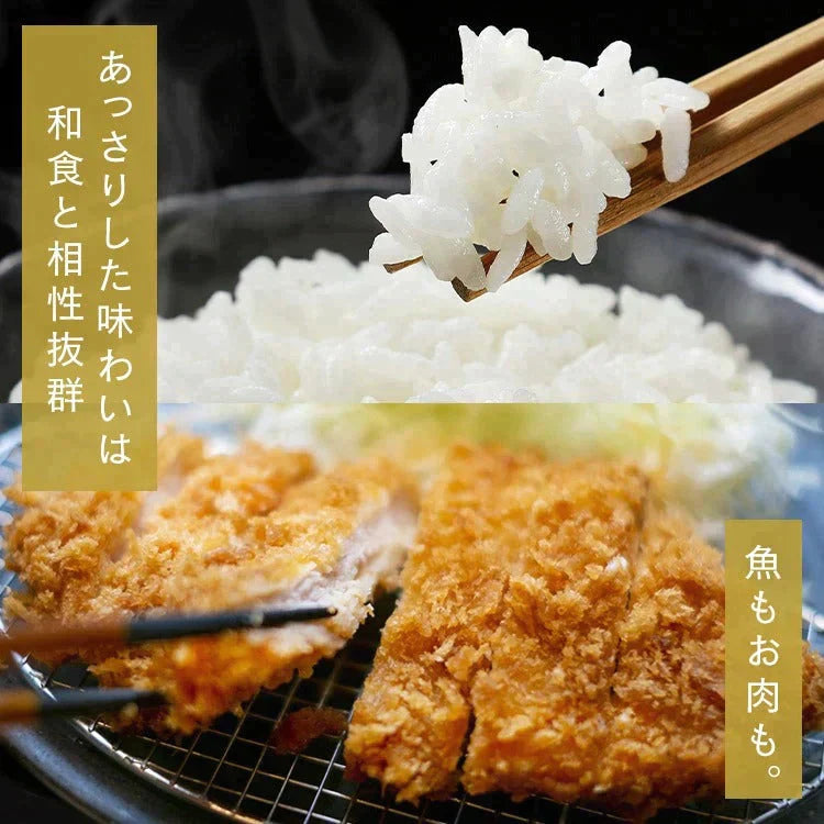 【カートアップNG】【2個セット】【新米】【令和4年産】30年度産【無洗米 10kg お米 白米】低温製法米 無洗米 北海道産ななつぼし 5kg×2 アイリスオーヤマ