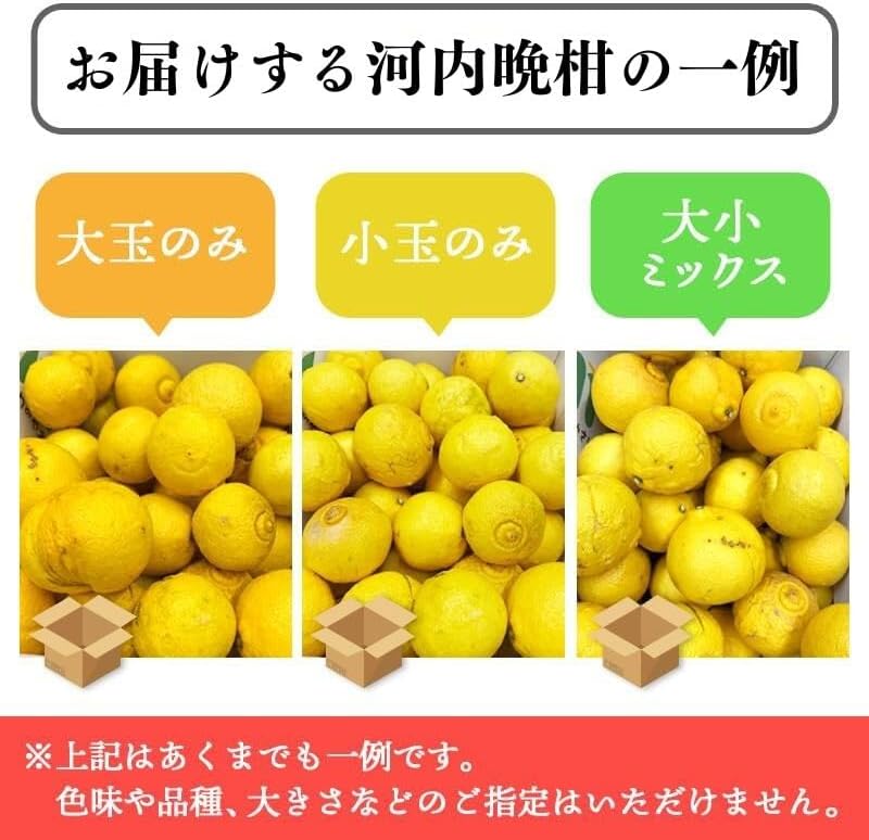 [みさわのやさい] 河内晩柑 訳あり 5kg かわちばんかん 晩柑 愛媛県産 ご家庭用 スレ 汚れ 黒点あり