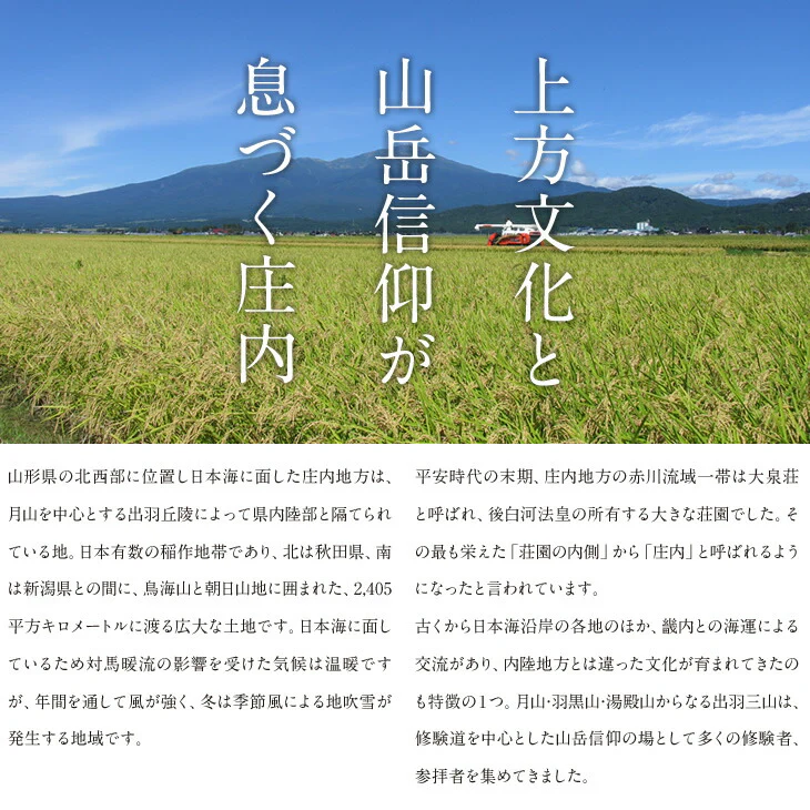 【贈答用】 山形県産 砂丘メロン(品種おまかせ)約2.5kg・2玉入り※一部地域は別途送料【のし対応】