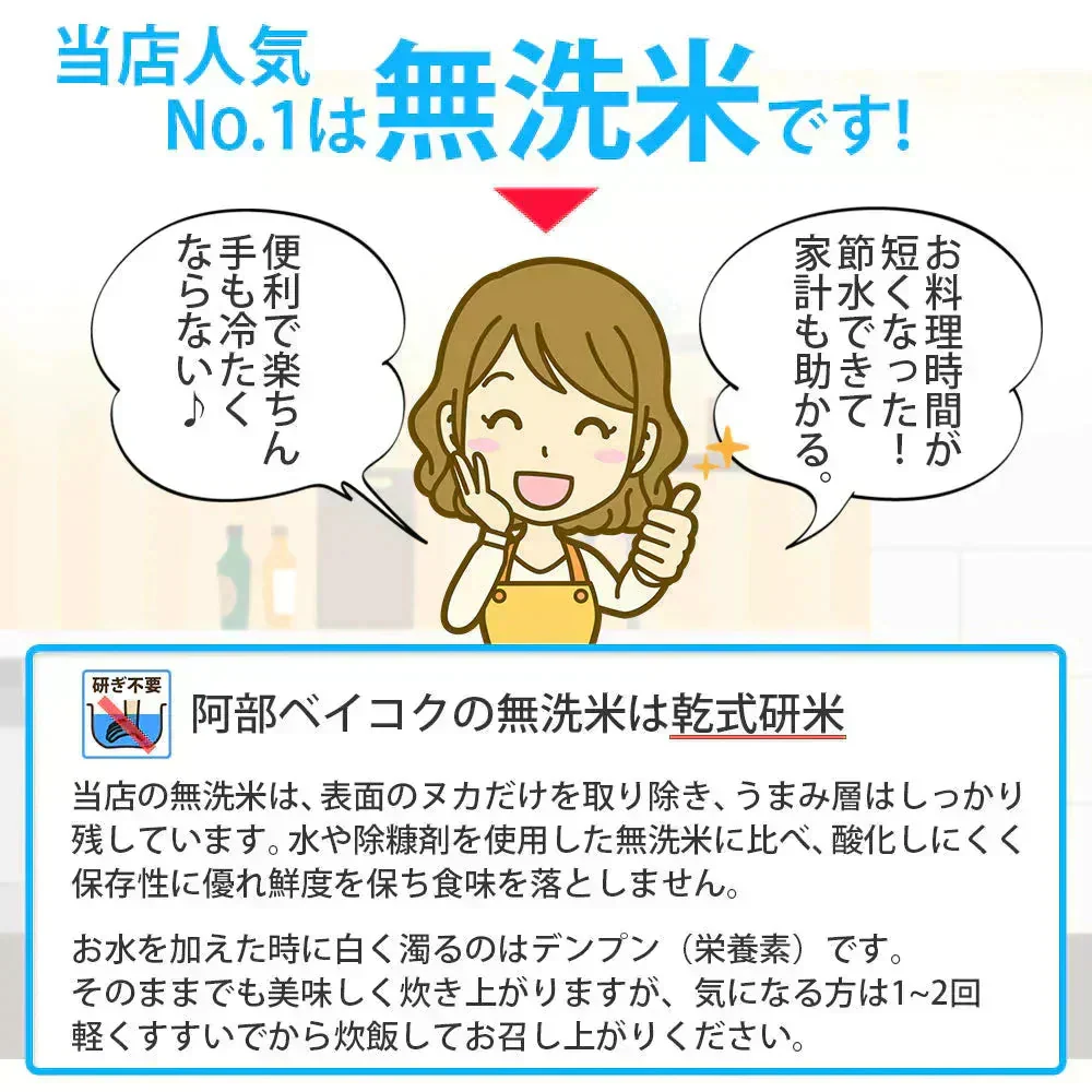 はえぬき 無洗米 20kg (5kg×4袋) 山形県産 令和7年産 送料無料 米 20キロ こめ コメ お米 精米 新米 お米20kg はえぬき20kg はえぬき20キロ