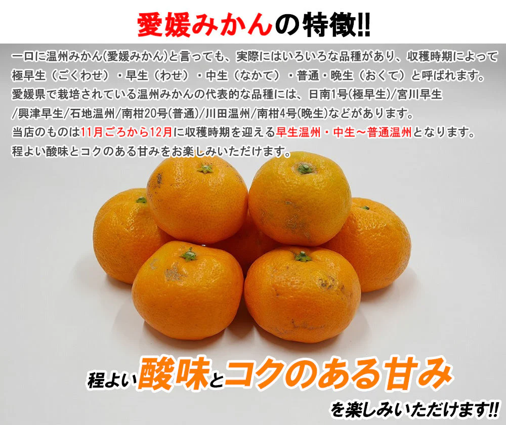 【最安値挑戦祭】みかん 訳あり 送料無料 5kg B品 愛媛 みかん 温州みかん ミカン 蜜柑 安い 甘い 箱買い 産地直送 愛媛県産 YDF-001