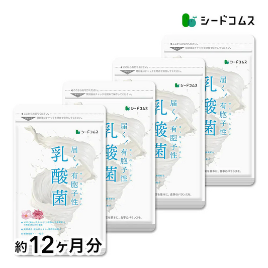 乳酸菌《約12ヶ月分》有胞子性乳酸菌ソフトカプセル/ 乳酸菌 高配合 サプリ 桜の花エキス