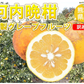 河内晩柑 文旦 みかん 訳あり 和製グレープフルーツ 1.5kg S～3L 晩柑 熊本県産 美生柑 グレープフルーツ