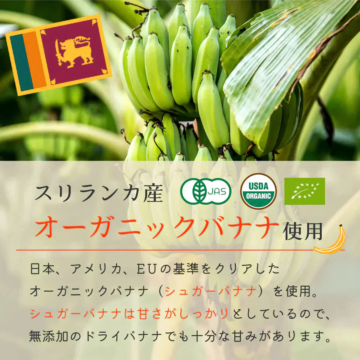 ドライバナナ バナナチップス 無添加 砂糖不使用 オーガニック 有機 100g 無農薬 オイル不使用 有機JAS認証 スリランカ セイロン バナナ ドライフルーツ 保存食 非常食 乾燥 健康 美容 おやつ お菓子 おつまみ 業務用
