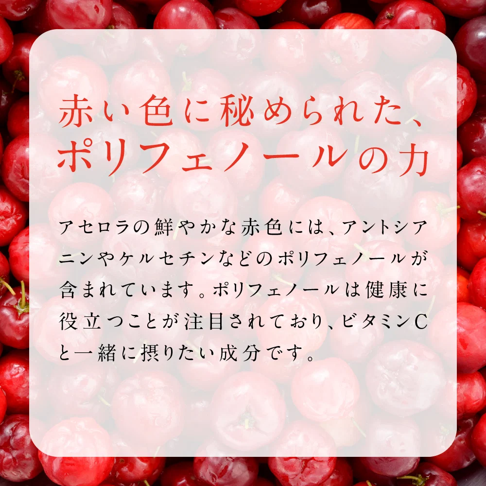 アセロラたっぷりビタミンC《約3ヶ月分》サプリ/アセロラサプリ/ビタミンCサプリ