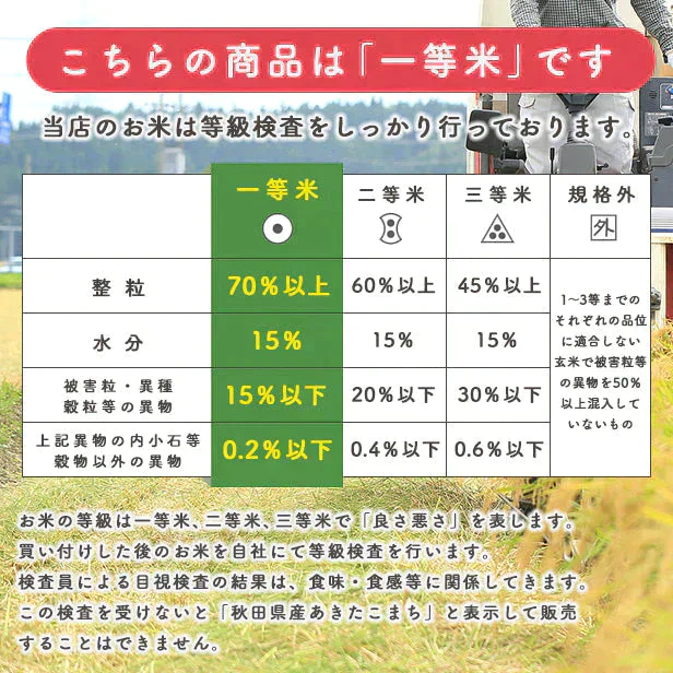 在庫処分セール！【無洗米10ｋｇ】秋田県産　あきたこまち10ｋｇ 5ｋｇ×2袋　令和4年産　一等米　厳選　送料無料　米　10ｋｇ　米びつ当番【天鷹唐辛子】プレゼント付き