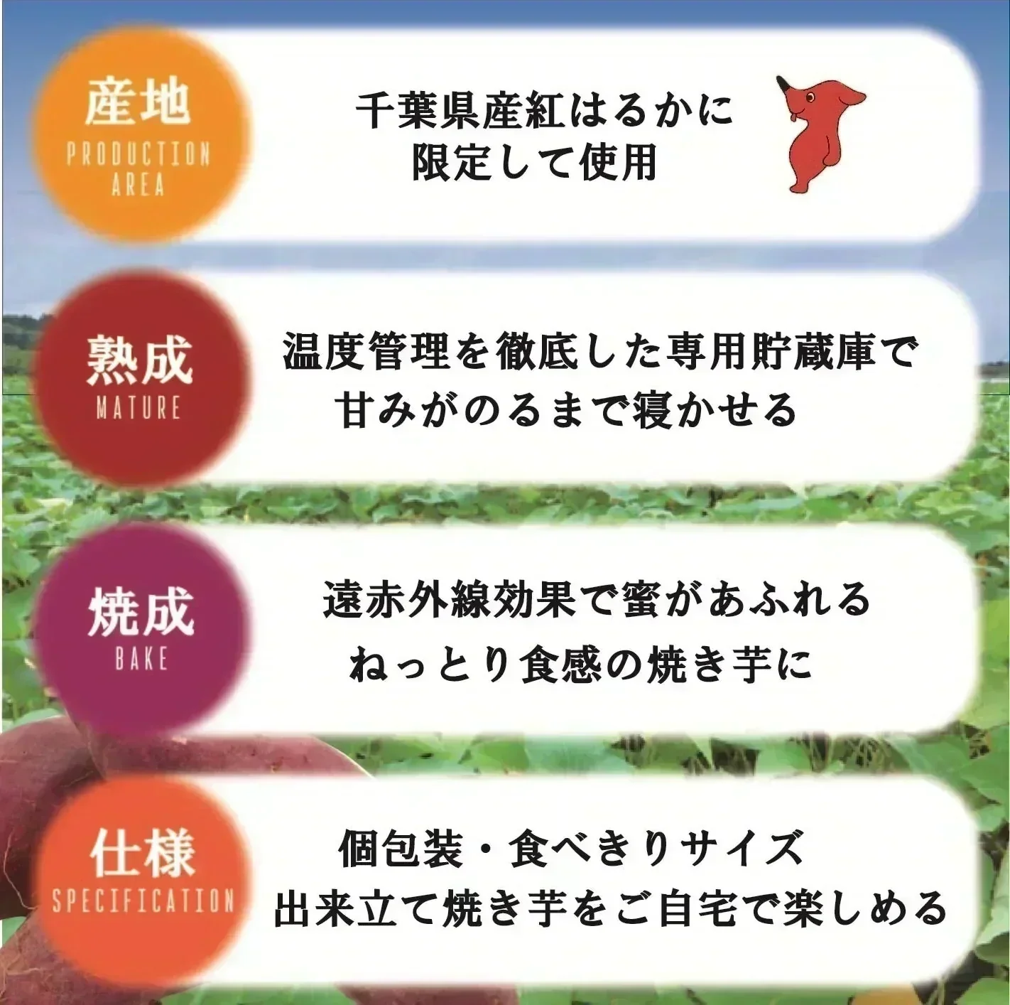 【出荷量10t突破！！房総蜜芋！！千葉県産紅はるか使用！！大容量がお買い得！便利な食べきり個包装！冷凍焼き芋！！4㎏（12本～20本）高糖度紅はるかをじっくり焼き上げました！】さつまいも　焼き芋　ねっとり美味しい クール便込で圧倒的価格　焼き芋4㎏個装