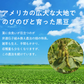 【水出しOK♪】＼送料無料／ルイボスティー 黒豆茶ブレンド ティーバッグ2g×110個入　3袋セット