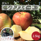 【2023年産予約開始！数量限定！】シナノスイート 訳あり 約2.5kg(6-14玉) やさしい甘さでジューシー！10月中旬頃発送開始予定 #YAS0B025