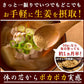 【送料無料】 プレミアムジンジャーパウダー50g 【代引不可】 スーパー生姜 高知県産 黄金生姜 生姜粉末 しょうがパウダー ジンジャーパウダー  乾燥ショウガ 無添加 温活 冷え対策 生姜 しょうが ショウガ 国産