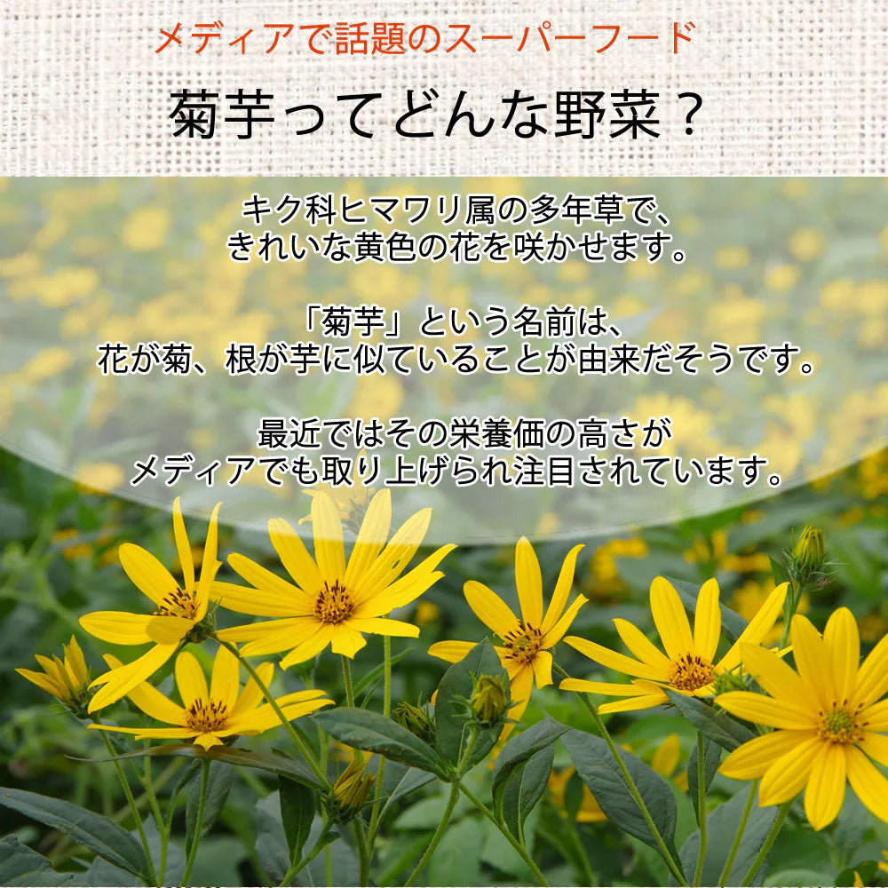 【30g】10袋入り 無添加 菊芋茶きくいも 国産 送料無料 熊本県産 無農薬 自然農法 JASオーガニック規格 イヌリン 食物繊維
