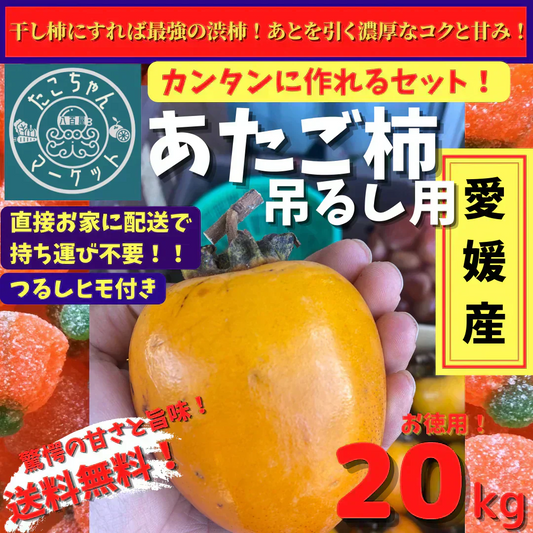 11月後半から発送【高級デザートを手作り】大玉・特大玉のセット　高級干柿にも使われる渋柿　愛媛県産　愛宕柿　20Kg