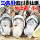 「生食用 殻付き 牡蠣 ４ｋｇ」生食用（28~70粒）生牡蠣 殻付き 牡蛎 牡蠣 殻付 宮城県産 松島牡蠣屋 カキ 海産物 魚介類 魚介 海鮮 母の日 父の日 送料無料 ＢＢＱ バーベキュー