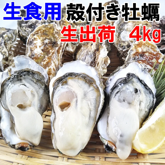 「生食用 殻付き 牡蠣 ４ｋｇ」生食用（28~70粒）生牡蠣 殻付き 牡蛎 牡蠣 殻付 宮城県産 松島牡蠣屋 カキ 海産物 魚介類 魚介 海鮮 母の日 父の日 送料無料 ＢＢＱ バーベキュー