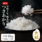 つきあかり 30kg(10kg＊3) 送料無料 新米 令和5年 栃木県産 お米