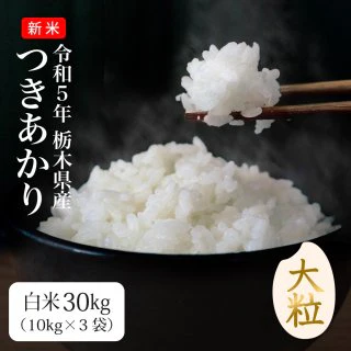 つきあかり 30kg(10kg＊3) 送料無料 新米 令和5年 栃木県産 お米