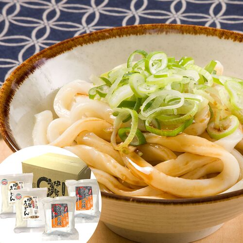 三重 伊勢うどん・カレーうどん 詰め合わせ (2人前入り)×4袋
