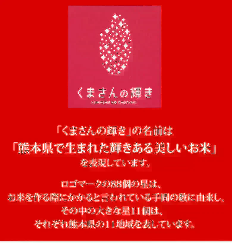 米 くまさんの輝き 【無洗米300g】 白米 送料無料  お試し 令和7年産 熊本県産 お米 白米 玄米 コシヒカリ ヒノヒカリ 森のくまさん