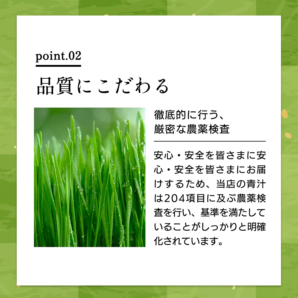 乳酸菌 国産青汁 63g (3g×21包) 3週間分　[ 青汁 飲みやすい 酵素 健康 ダイエット 国産 乳酸菌 100億個 食物繊維 おためし] K【ご新規さん限定商品】