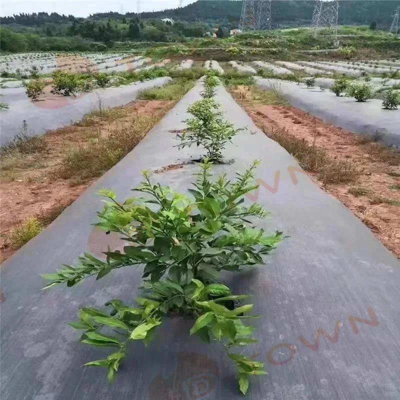即納商品　防草シート 雑草防止 園芸シート 3m×100m 大面積専用 1本 100メ ートル 草よけシート 雑草防止 向け 除草 園芸 シート 庭 ガー デニング 黒