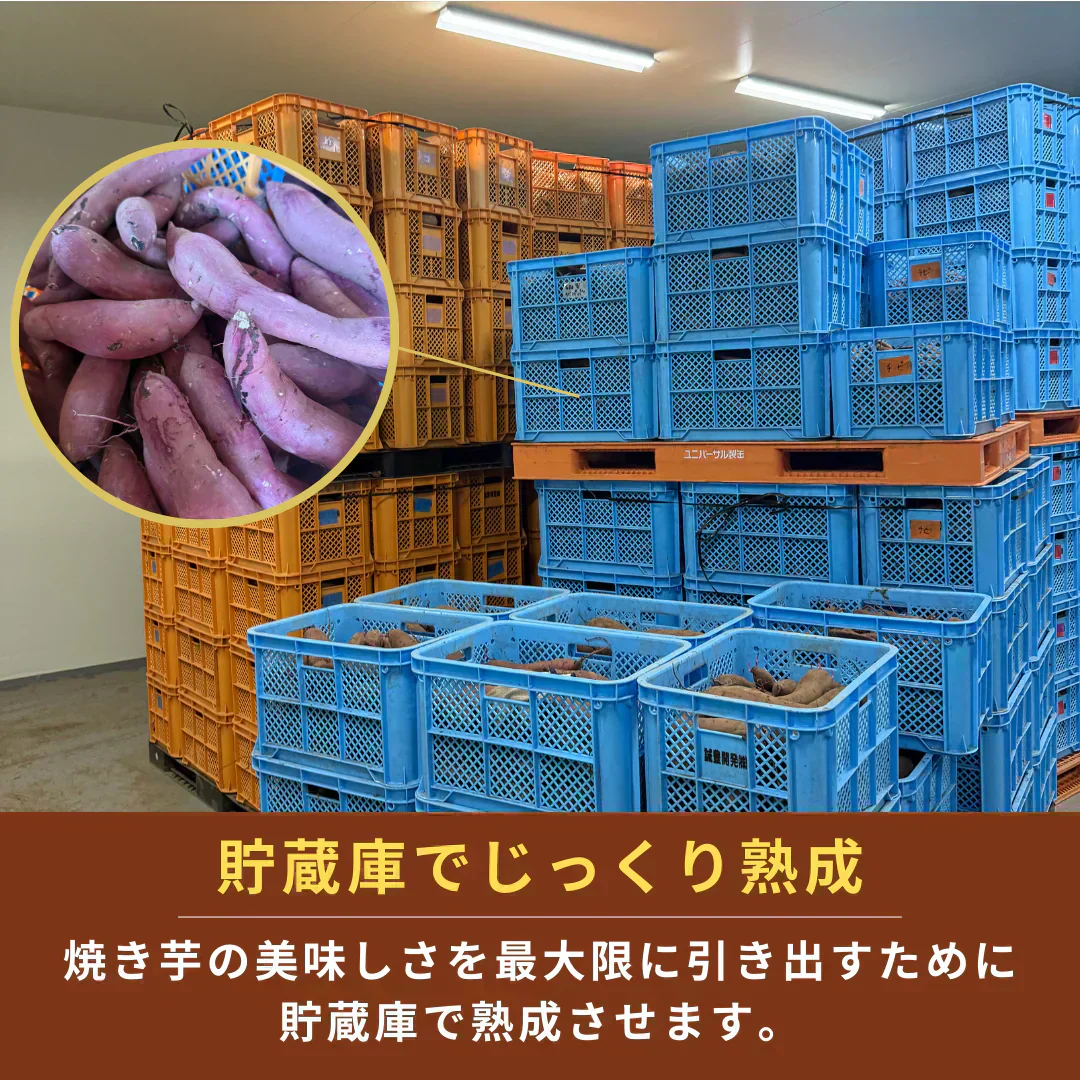 【自然の甘みそのまま】国産 焼き芋 3kg(1kg×3p) 無添加 冷凍 月間販売数 3000袋突破！ 果物 青果 芋 いも さつまいも サツマイモ 野菜 焼芋 農家 訳あり 干し芋 好きに 冷凍 グルメ 紅はるか シルクスイート スイーツ 市場 おやつ お菓子 ダイエット クール便 贈答 お中元 ギフト【ご新規さん限定商品】