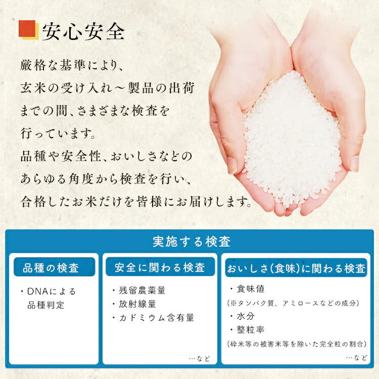 【カートアップNG】【新米】【令和4年産】白米 米 無洗米 10kg (5kg×2) 宮城県産 ひとめぼれ低温製法米 精米 お米 10キロ ヒトメボレ ご飯 コメ アイリスオーヤマ ごはん アイリスフーズ