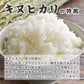 【白米】兵庫県産 キヌヒカリ 10kg(5kg×2袋) 精白米 国産 国産キヌヒカリ100％ 送料無料 精米工場からの直送品