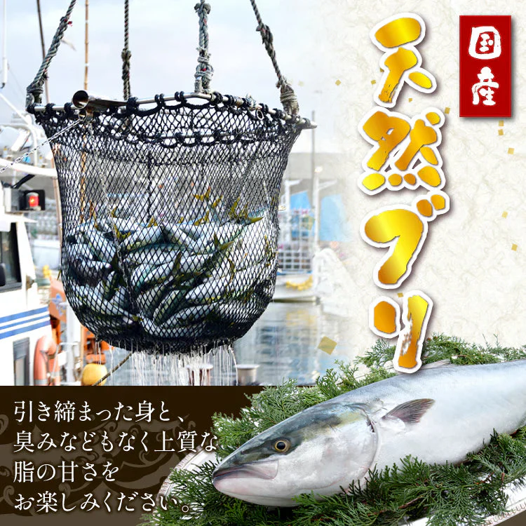 ブリ3種　約1.3kg（ブリ刺身、ブリ漬け、ブリ切り落とし）