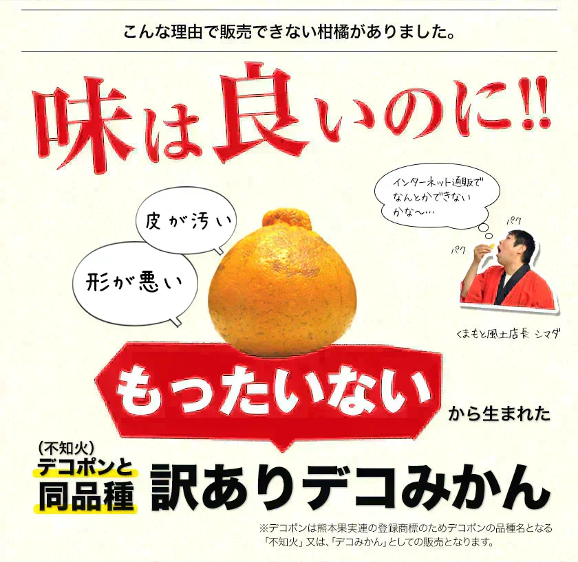 訳あり デコみかん 約5kg (5kg＋不良果保証250g) 送料無料 不知火 みかん ミカン 熊本県産 訳あり デコポン と同品種 熊本 柑橘 目玉商品 くまもと風土《7-14営業日以内に発送予定(土日祝除く)》