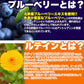 【メガ盛り 大容量 お得４ヵ月分・ブルーベリー＆ルテイン】スマホをよく使う 目の疲れ  デジタルケア 目 目のケア 約4ヵ月分 ビタミンA アントシアニン 含有 120粒 ブルーベリー ルテイン 売れ筋 爆安 格安 お得 激安 コスパ最高 コスパ最強 お肌 健康食品 20代 30代 40代 50代 60代 健康サプリメント 大容量 日本製 おすすめ 国産 マリーゴールド抽出物 サプリ サプリメント ルテイン  ビタミンA ブルーライト サポート