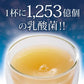 乳酸菌 サプリメント 粉末 33種の乳酸菌 30包入り 乳酸菌 メール便 送料無料 ダイエット 腸活