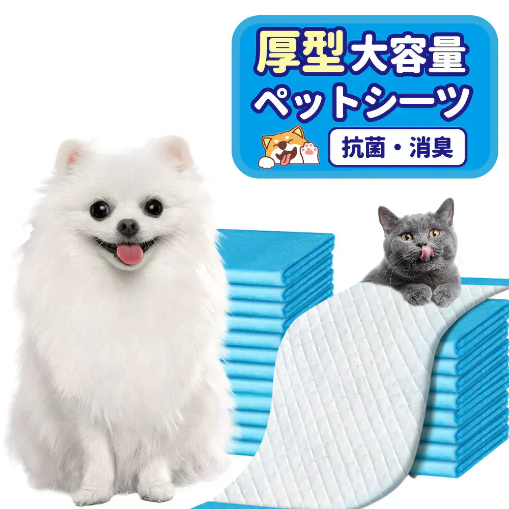 【ペットが外出時の必携】＼ 大型犬 160枚 ／抗菌 ペットシーツ トイレシーツ ペットグッズ 無香 消臭 ペットシーツ 犬 猫 トイレシート ペットシーツ 大型犬 超吸水 大判 デオシート しっかり 吸収 ペットシーツ ワイド ペットシート トイレシート 使い捨て ペットシーツ
